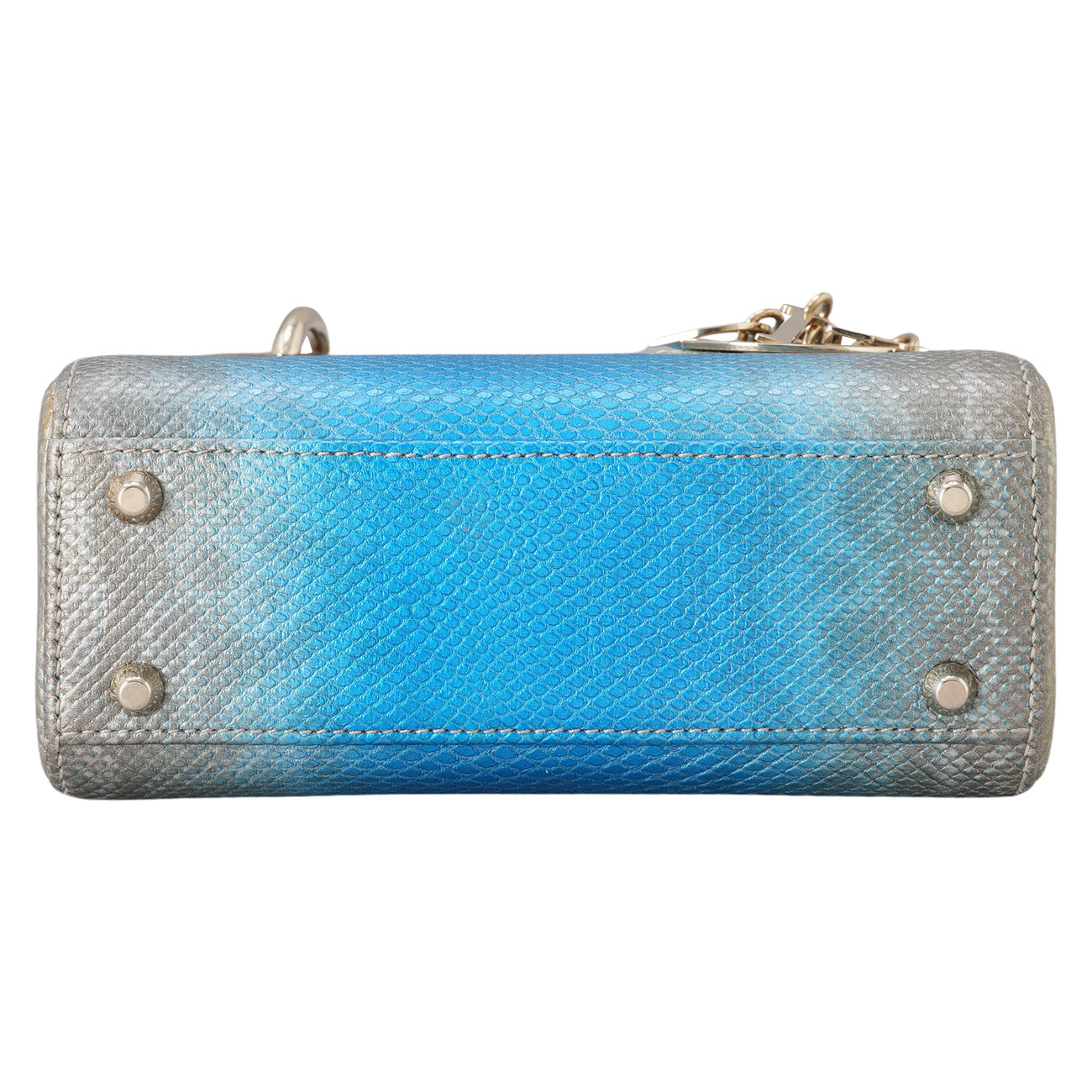 CHRISTIAN DIOR(USED)디올 리자드 레이디디올 미니  & 트윌리